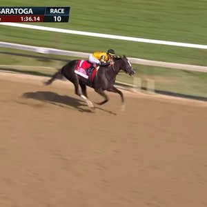 Horses Weekly Briefing: Counting Stars and more
