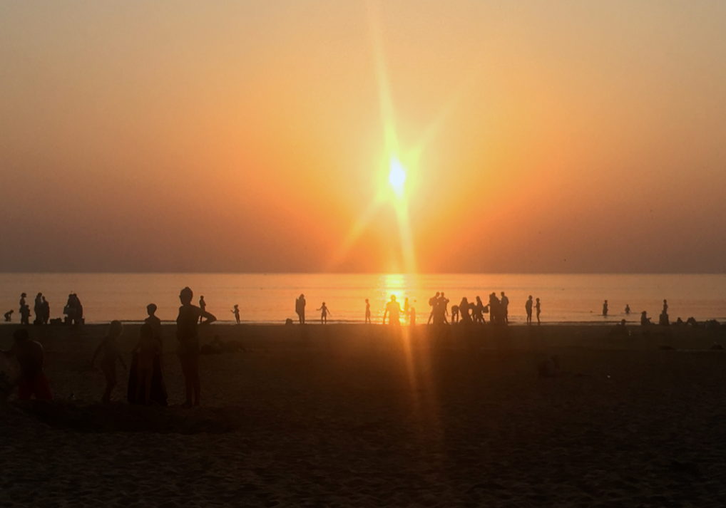Last year was very sunny and warm, emphasising climate change