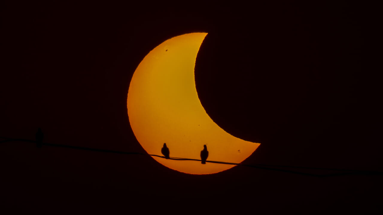 Oggi il tramonto a Milano sarà diverso: quando vedere l’eclissi e perché gli occhiali da sole non bastano