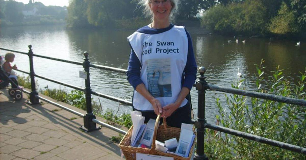 Supermarket stops donating bread to swans - but birds won't go hungry