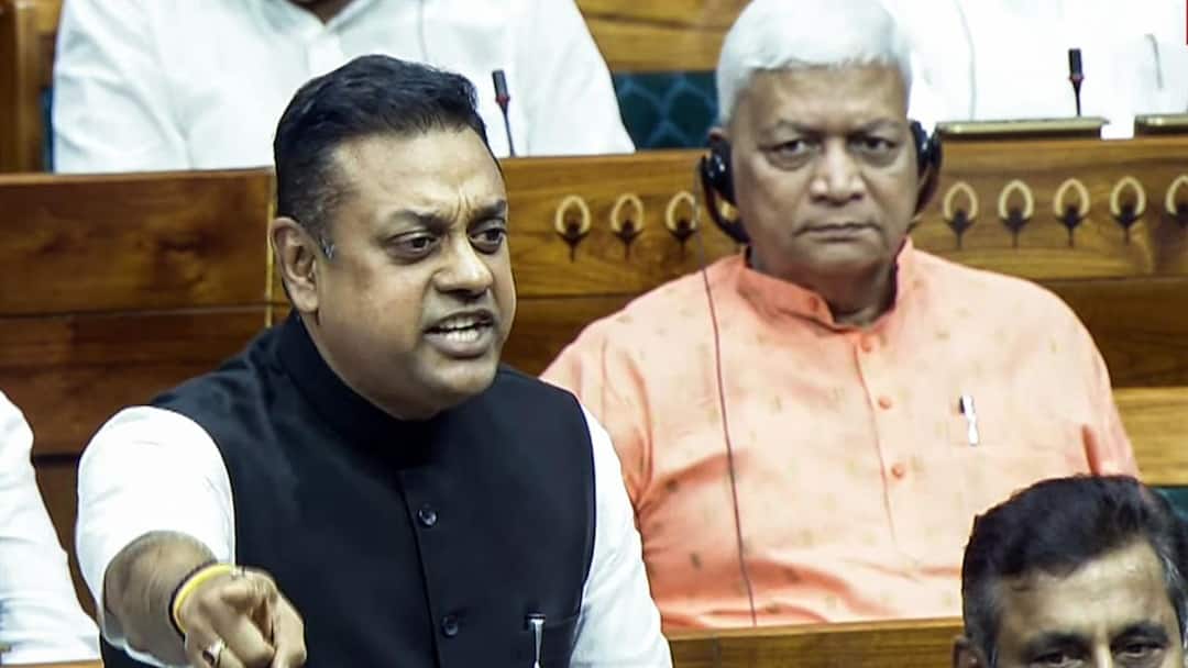 'Magistrate, Not Home Minister, Gives Orders': BJP Rebuts Rahul Gandhi's Claims On Police Action