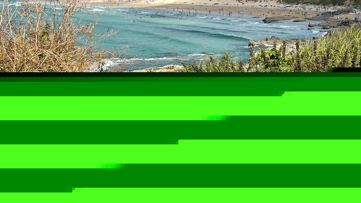 Father and daughter who died in sea named