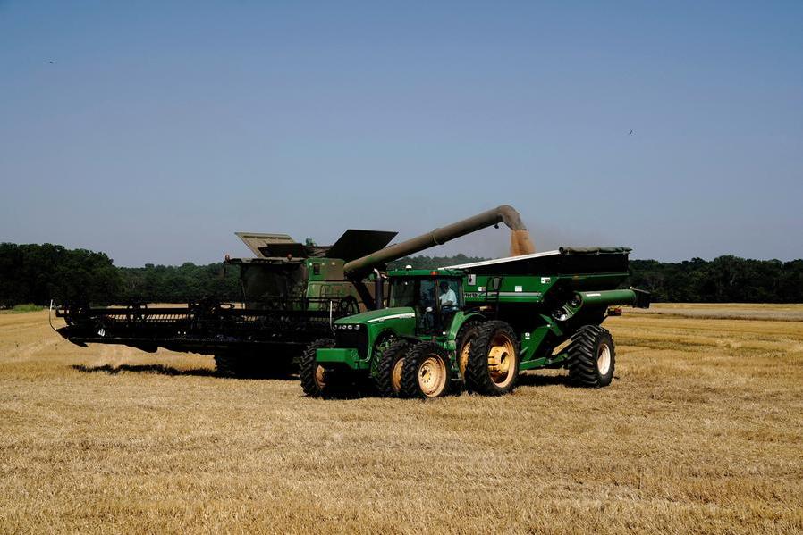 Wheat dips as US dollar finds its footing, still set for weekly gain