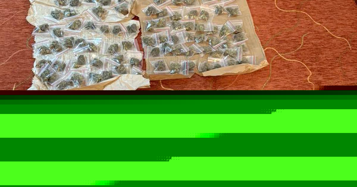 Policija otkrila stan pun droge na Čukarici: Uhapšen osumnjičeni (19), sa njim u stanu i maloletnik!