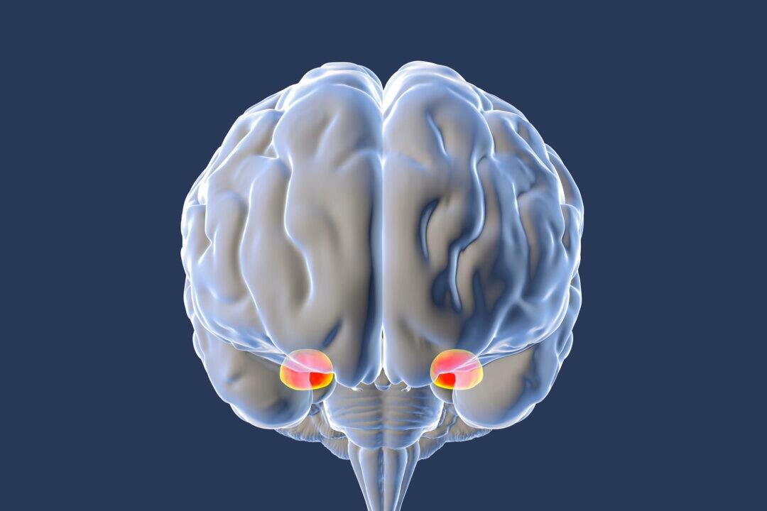 Why Your Brain Overreacts To Fear – And How To Fix It