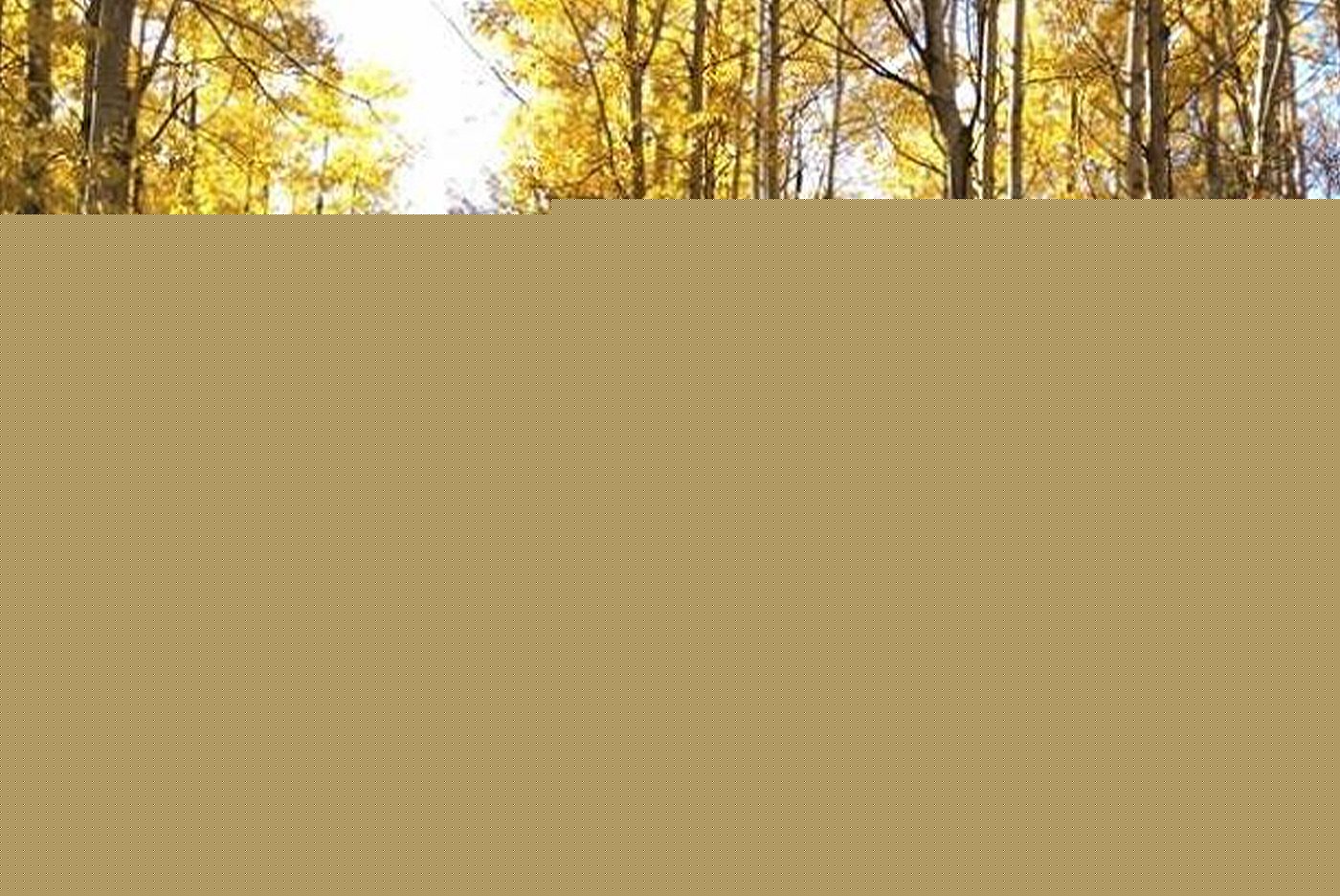 Bjorkdale to host Saskatchewan’s largest plein air paint event