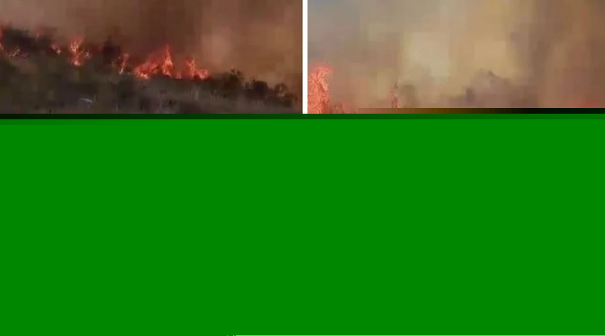 Zjarri del jashtë kontrollit në Finiq, flakët avancojnë drejt fshatrave, forca të shumta zjarrfikëse në terren dhe ndërhyrje nga ajri