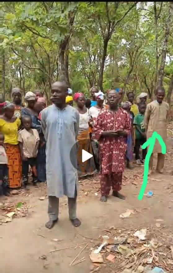 Seven of 37 Kaduna Hostages Die After 110 Days in Forest Gulag