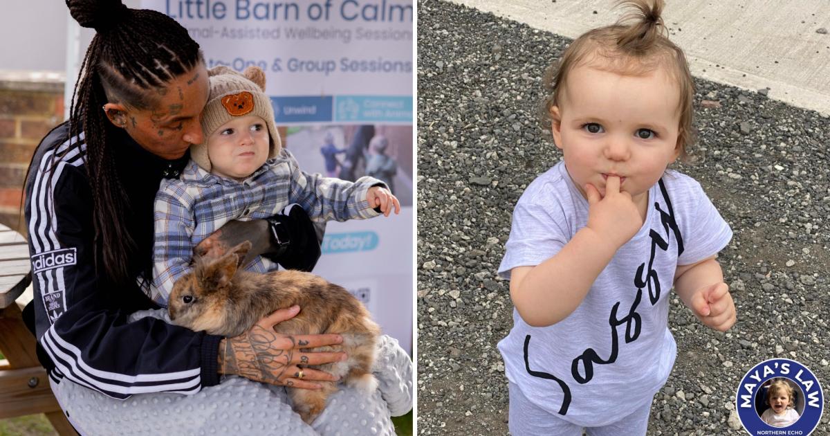 TV star throws support behind campaign from family of murdered County Durham tot