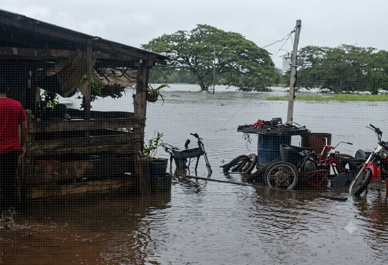 Inundación afecta a productores agropecuarios de los sectores Anaro y Maporal en Barinas