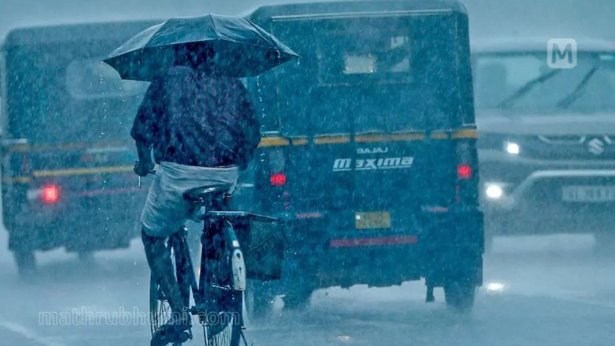 Kerala rain: Several districts under red alert as heavy showers and winds continue