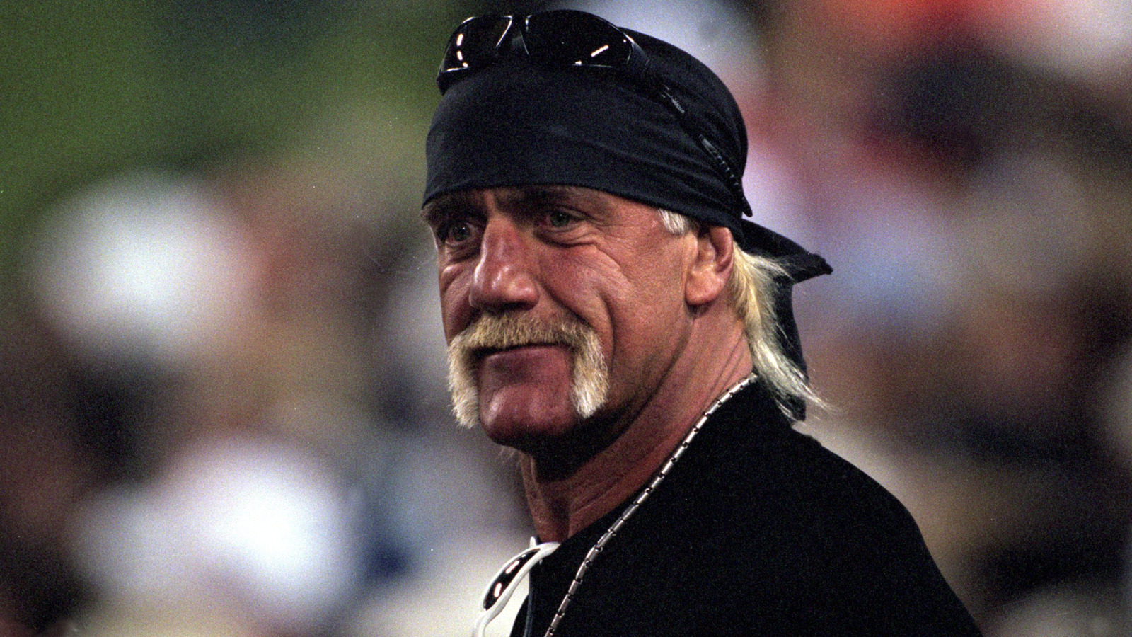 Hulk Hogan's WCW 'Twin' Was Real — Here's The Truth
