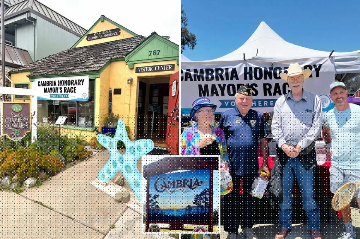 Tiny coastal town where politicians can buy votes in the mayor’s race — but all is not as it seems