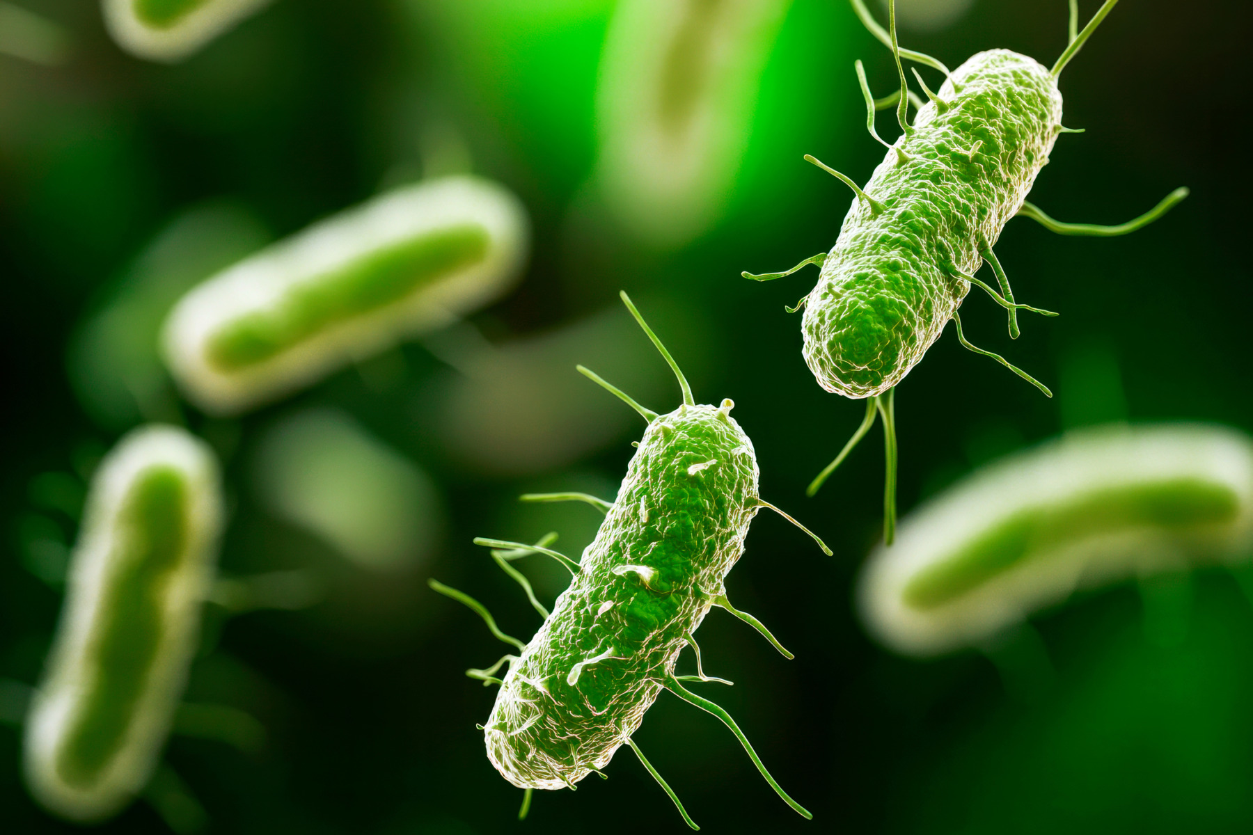 Prezenţa unei bacterii a fost confirmată în apa furnizată la Curtea de Argeş, care rămâne nepotabilă