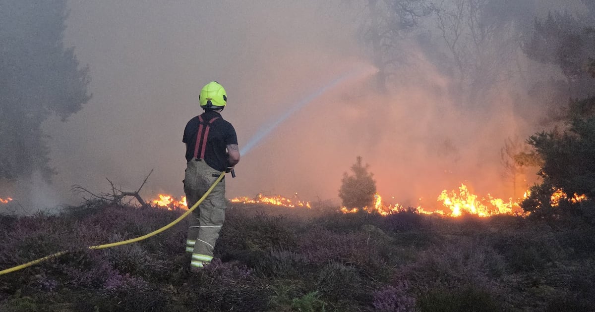 Suffolk wildfire continues to grow as Burnham pledges support for firefighters