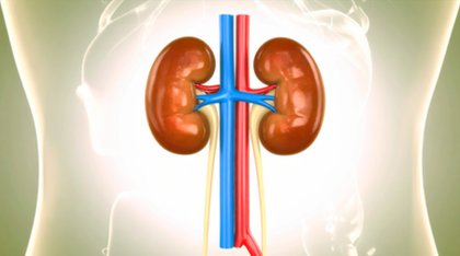 Study: Young Night Shift Workers Face Higher Risk of Kidney Stones
