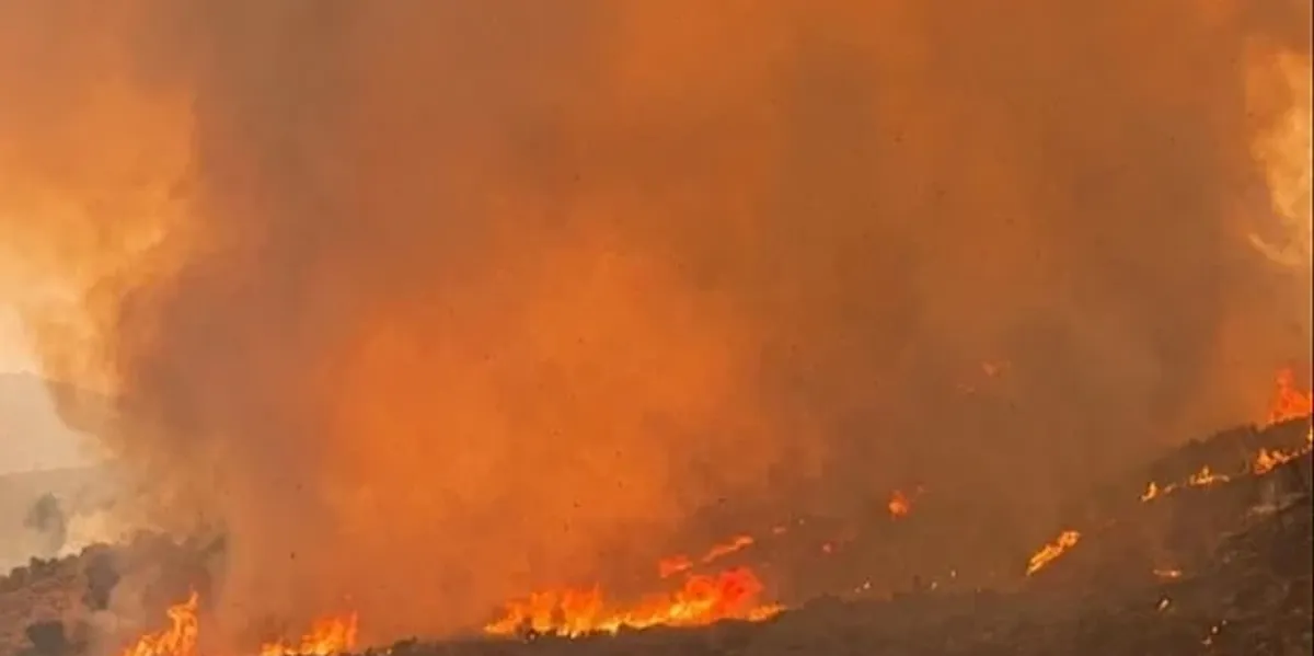 Fires engulf Turkey, residents and a hospital evacuated in Mugla
