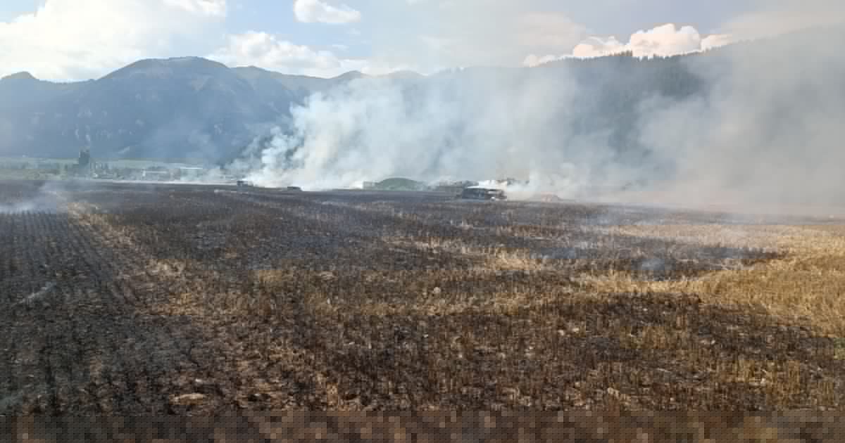 12 Hektar in Flammen - Großbrand auf Acker in der Obersteiermark