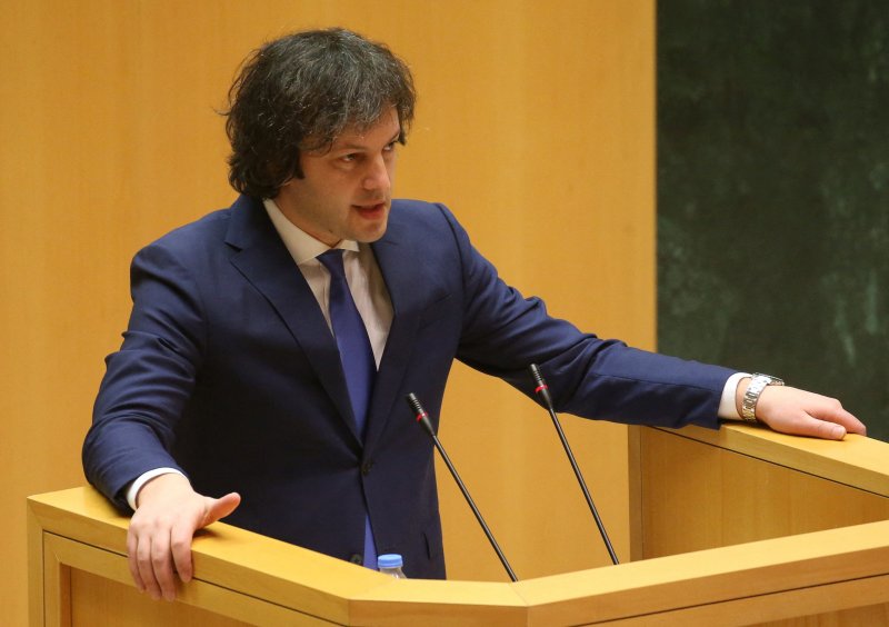 Those who tried to storm Georgian presidential palace committed a crime — prime minister