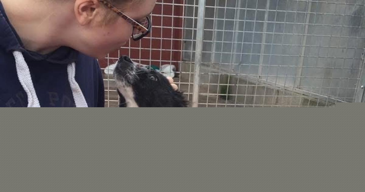 Woman who made grisly discovery at pet crematorium calls for change