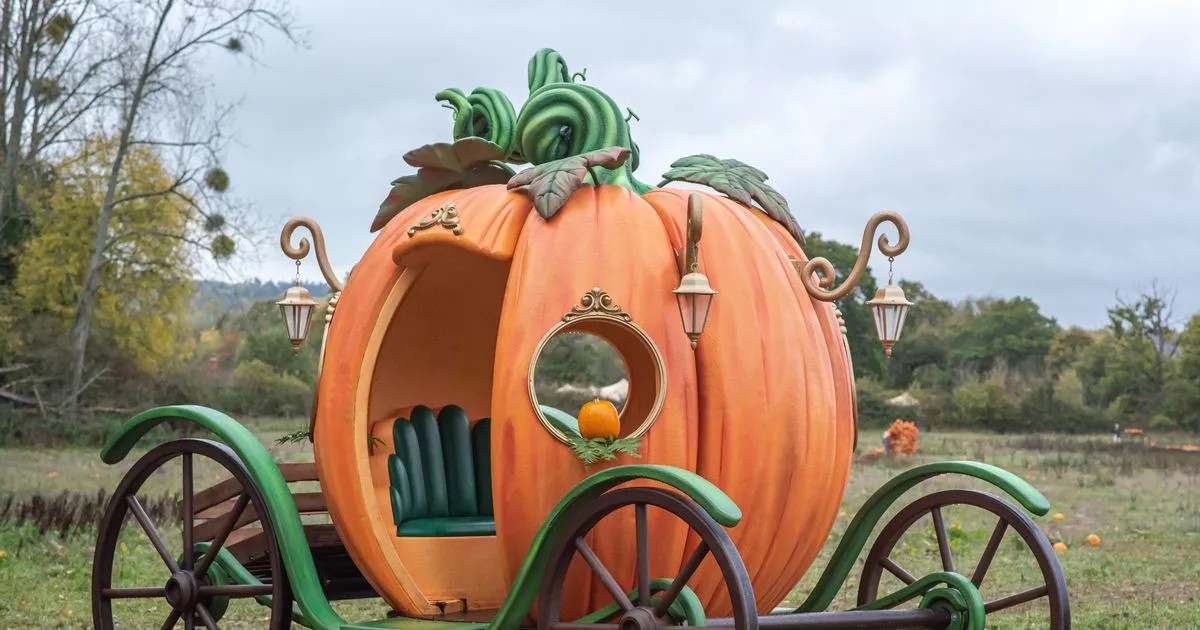 The woodland village 40 minutes from Surrey with huge pumpkin picking patch and life-sized fairytale carriage