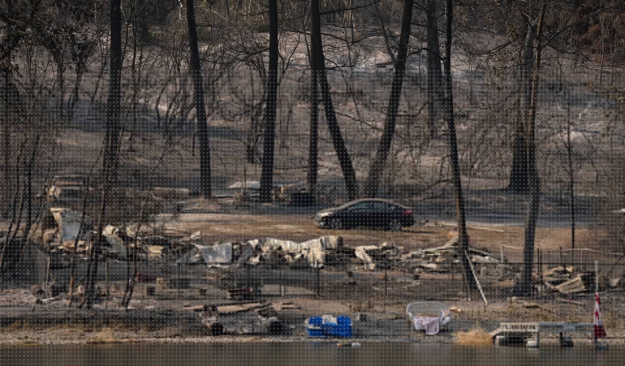 Wildfire destroys about 230 homes in western Canadian Indigenous community, officials say