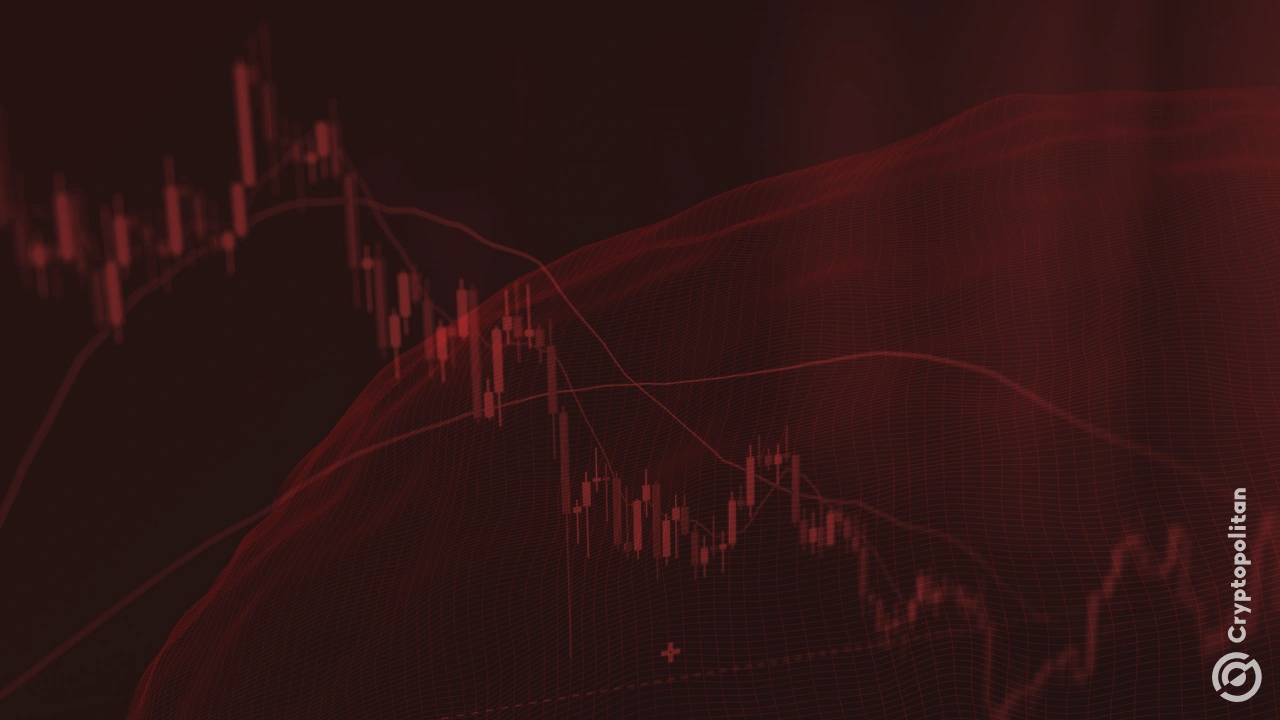 Crypto markets pull back as BTC stalls below $90K, XRP and SOL lead altcoin losses