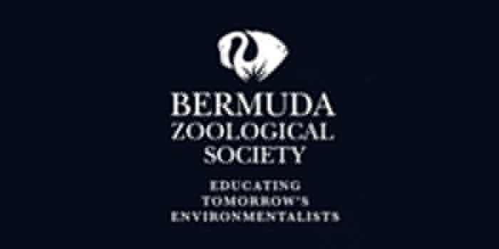 Comment on BZS & BAMZ On Reported Manatee Sighting by Daniel