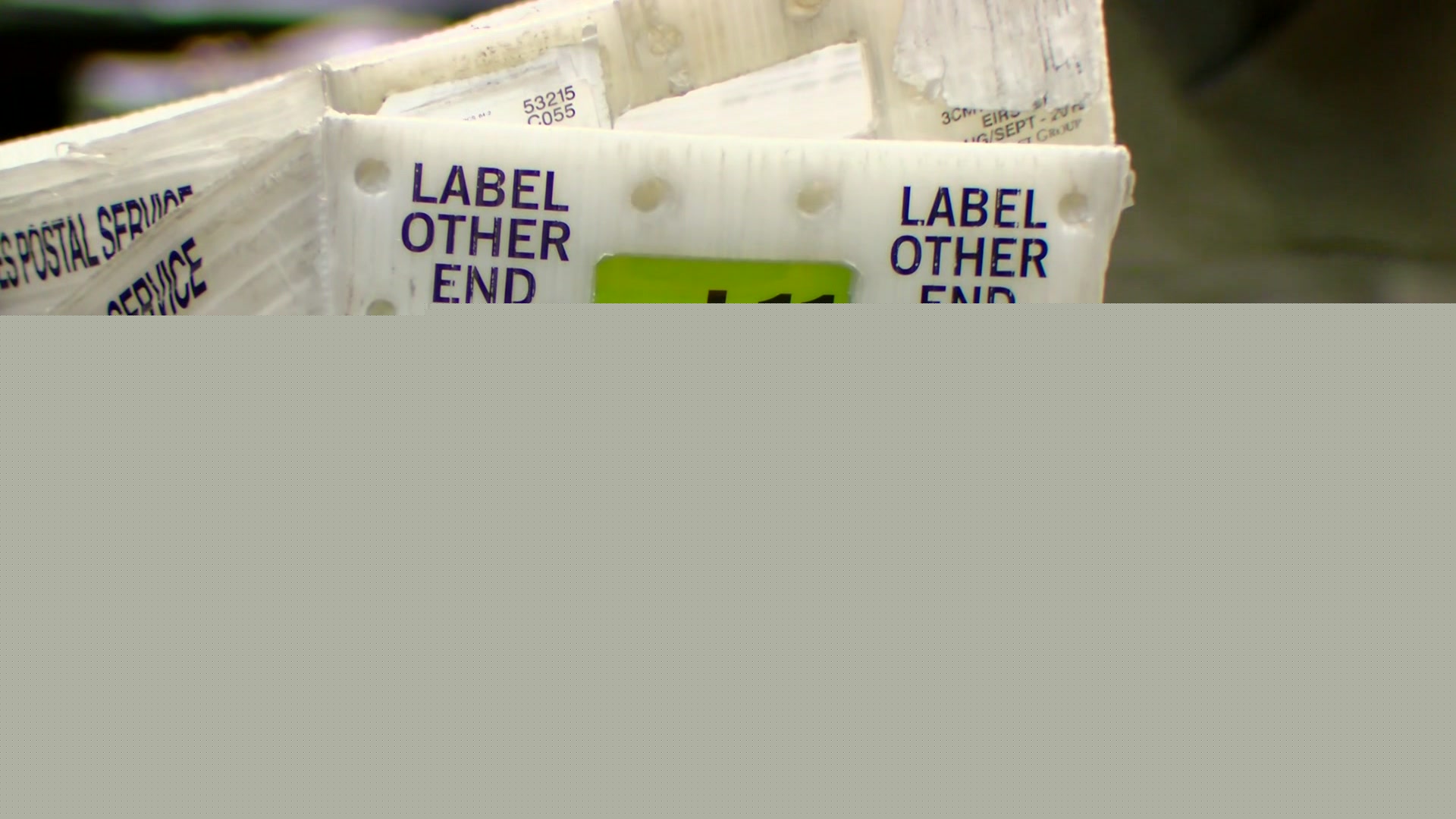 Wisconsin judge rules that paper absentee ballots violate rights of certain disabled people