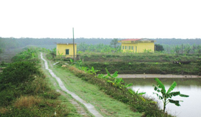 Lời cầu nguyện 359 – Prayer 359