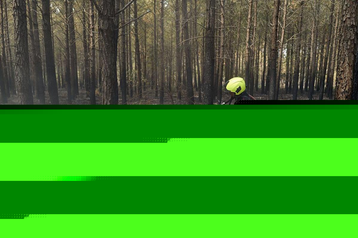 WA Gov. Declares Statewide Wildfire State of Emergency