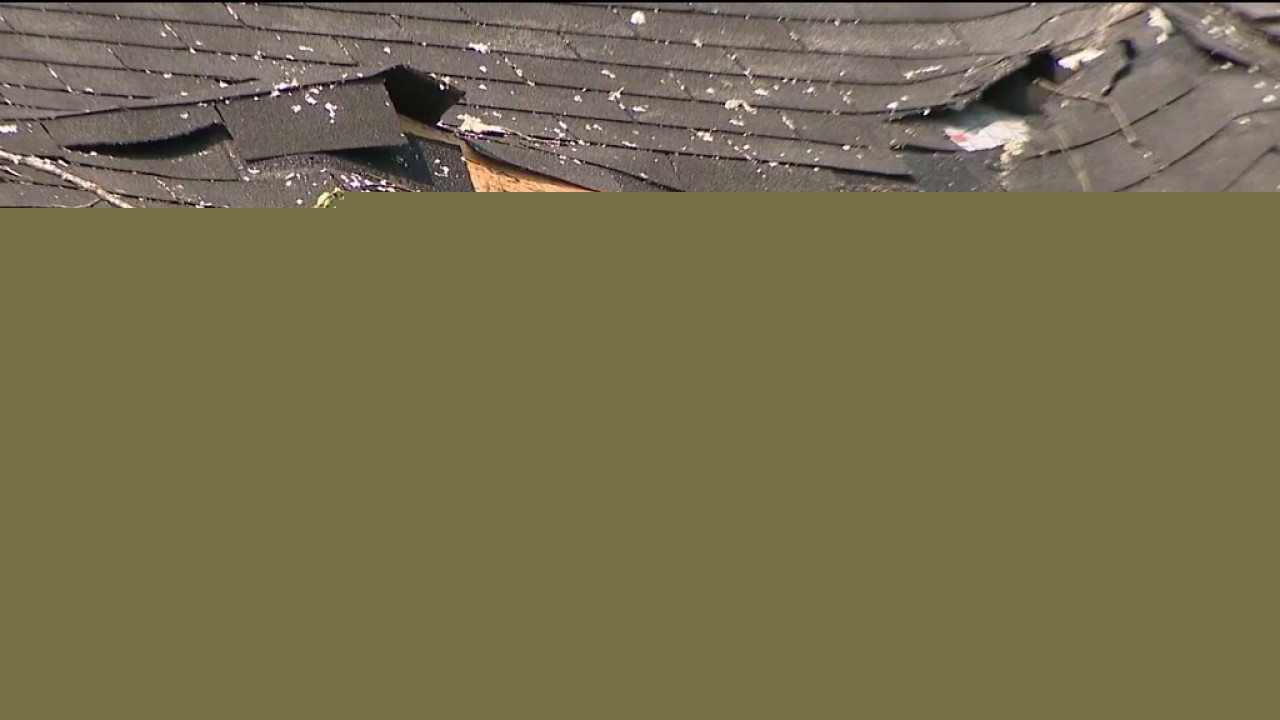 Person killed after tree falls on Decatur home, officials say
