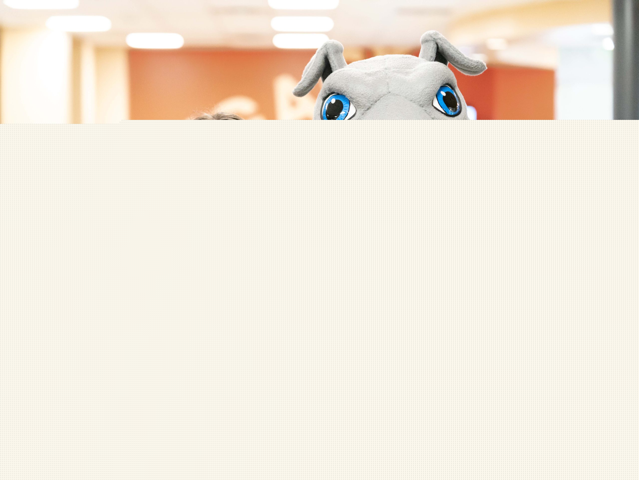 What to Expect at New Hounds Day (New Student Orientation)