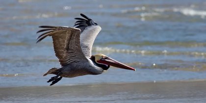 Governor Ivey announces $45 million for GOMESA projects across Coastal Alabama