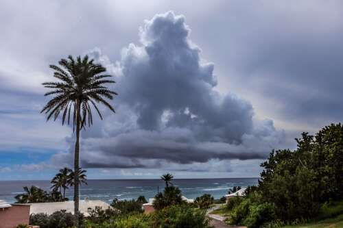 Cup Match weather forecast to be drier and sunny