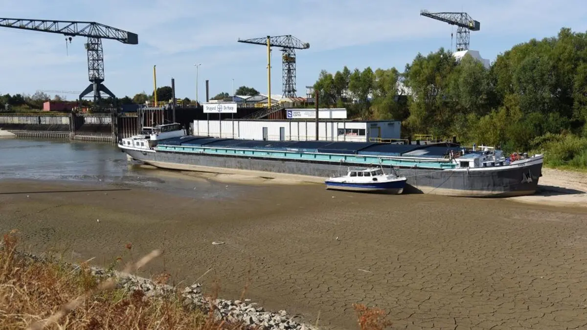 Netherlands Faces Prolonged Drought as Rhine Flow Hits Record Low