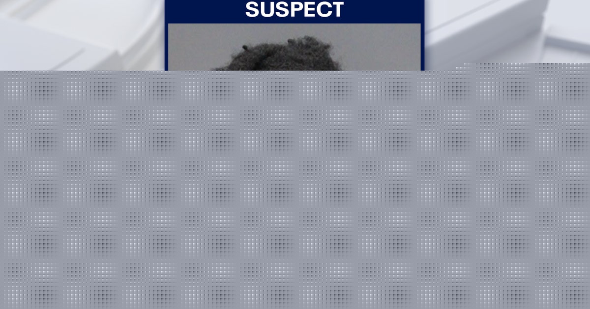 Hillsborough man arrested, accused of kicking and hitting dog: Deputies