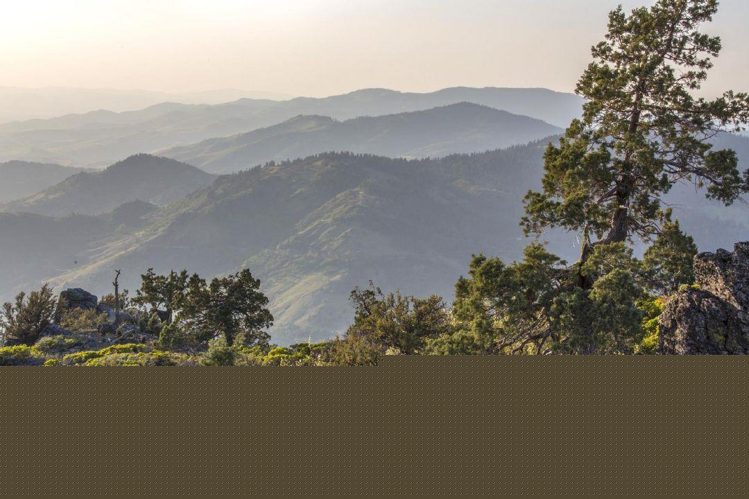 Judge refuses to halt logging on 2,000 acres in Southern Oregon