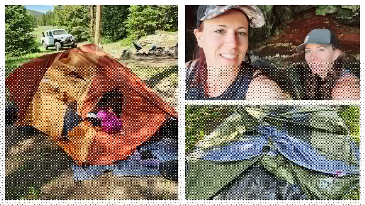 Fish And Game Kills Black Bear That Drove Women From Bighorns Camp, Shredded Tent