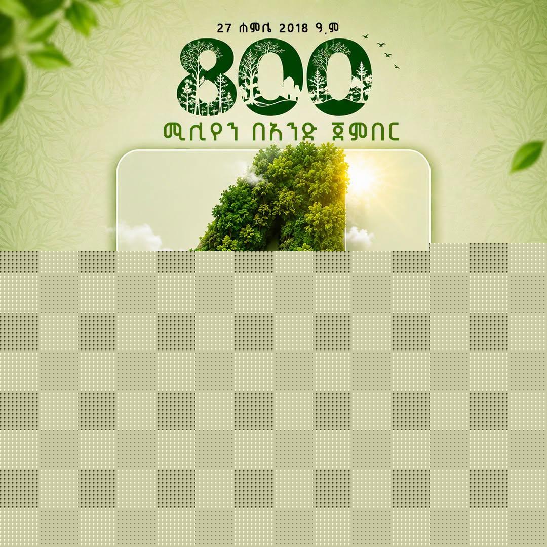 በአንድ ጀምበር 800 ሚሊየን ችግኝ ለመትከል የኢትዮጵያ ዝግጁነት