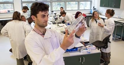 UK’s first seaweed nursery training launched in Oban