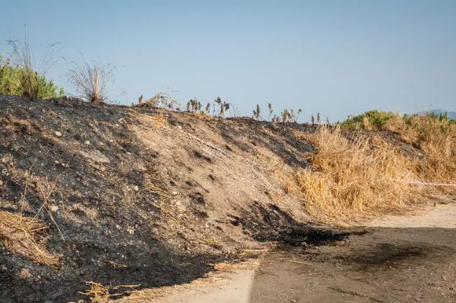 #Cronaca #Giornalista ucciso nel Salernitano, oggi l'autopsia