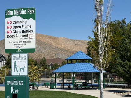 Kidnapping charges dropped against Carson City woman caught with four children in her van; mother speaks out about lack of justice