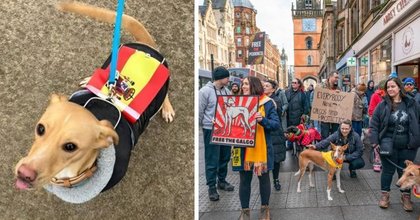 Exeter joins UK-wide protest over hunting dogs in Spain