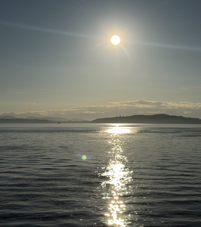 Fauntleroy bicycling-safety forum, Delridge P-Patch story time, much more for your West Seattle Tuesday