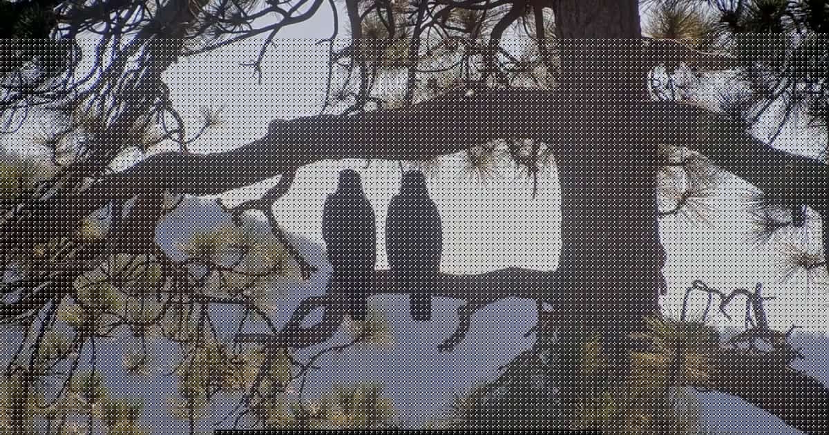 Big Bear bald eagle fledglings Sandy and Luna depart valley as Shadow begins summer vacation