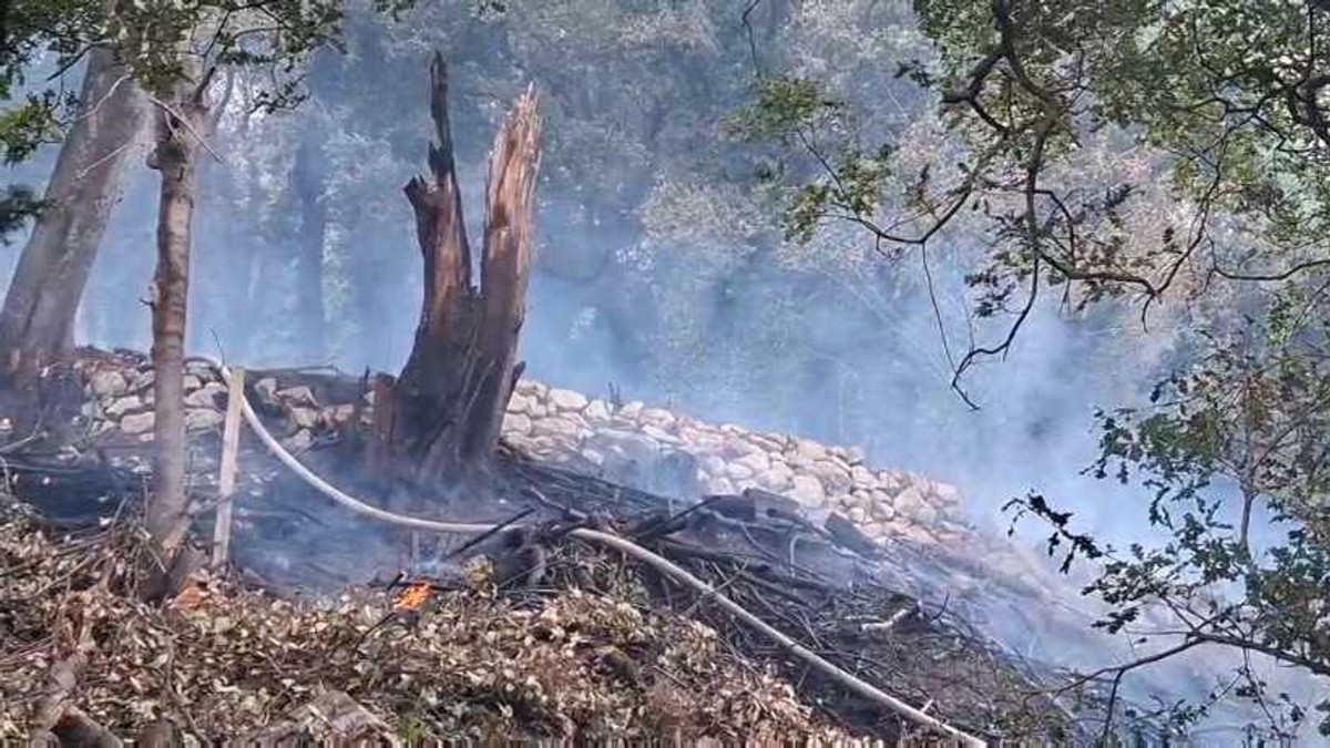 BUKTI POŽAR IZNAD BUDVE Vatrenu stihiju proširuje vetar: "Vatra ide ka našim kućama, u strahu smo" (FOTO, VIDEO)