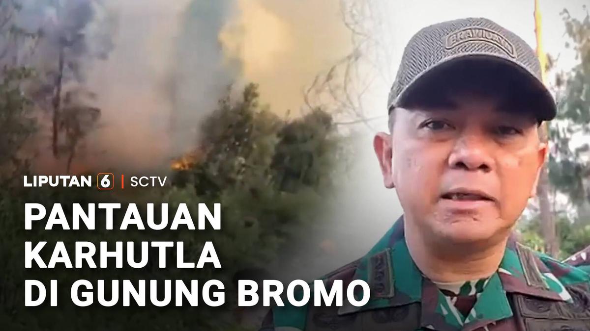 Kondisi Terkini Pemadaman Karhutla Gunung Bromo, 742 Hektare Lahan Terbakar