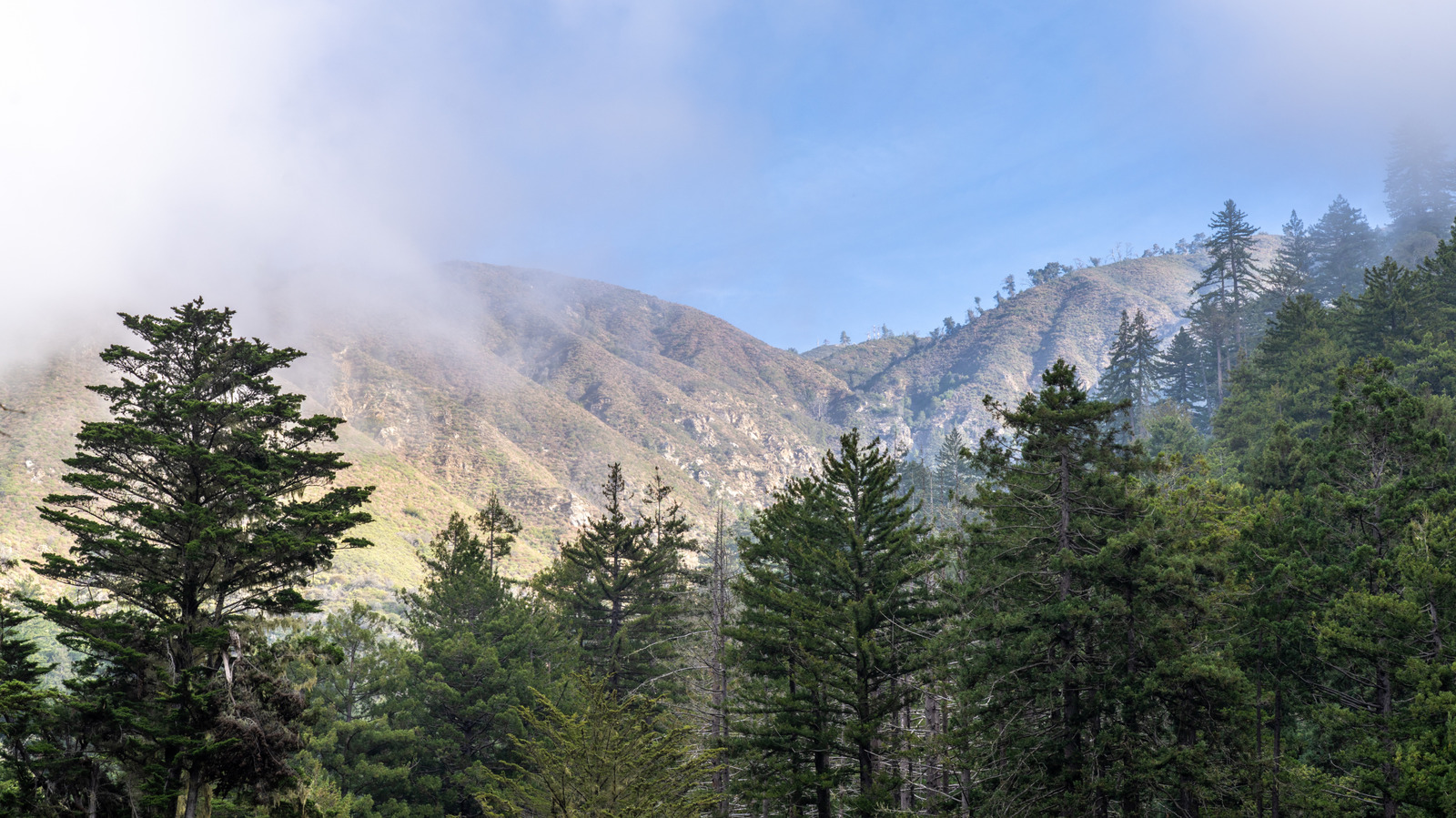 5 Best Campsites In California's Pfeiffer Big Sur State Park