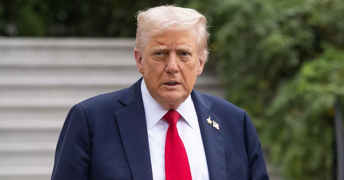 CNN host fumes 'dementia addled' Trump isn't interested in ending government shutdown